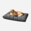 Grey waterproof dog camping bed with golden retriever resting comfortably on thick padded pet mattress