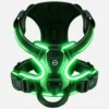 Green LED dog harness with adjustable reflective straps, no-pull front clip and soft padded mesh for night walking
