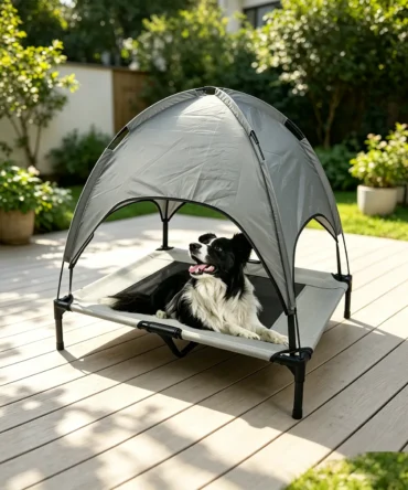 Outdoor elevated dog bed with canopy, grey pet shade cot with black frame, border collie resting on raised dog bed in sunny backyard patio