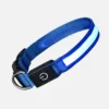 Blue LED dog collar with adjustable buckle and glowing light strip