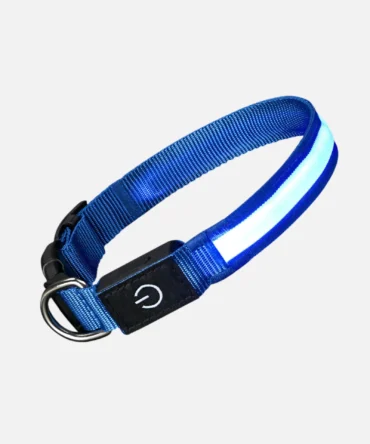 Blue LED dog collar with adjustable buckle and glowing light strip