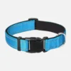 Blue reflective dog collar with adjustable buckle and metal D-ring