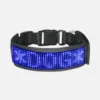 Blue smart LED dog collar with adjustable quick release buckle