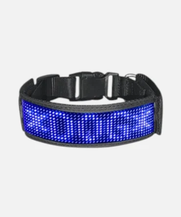 Blue smart LED dog collar with adjustable quick release buckle