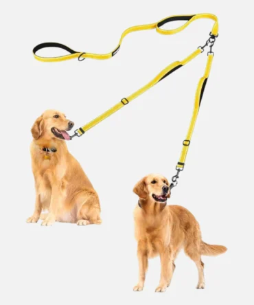 Yellow adjustable dual dog leash attached to two golden retriever dogs.