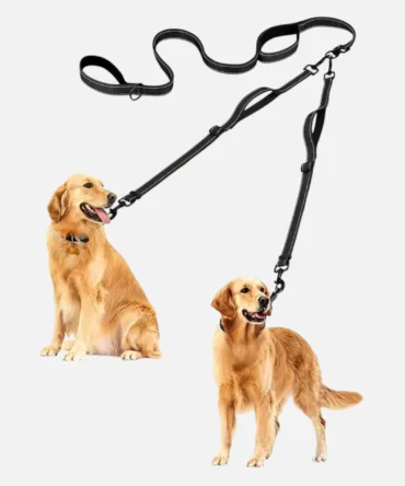 Black reflective adjustable dual dog leash connected to two golden retriever dogs.