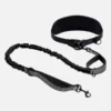 Heavy duty hands-free dog leash with padded waist belt and shock-absorbing bungee