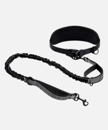 Heavy duty hands-free dog leash with padded waist belt and shock-absorbing bungee