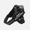 Black no-choke dog harness with personalized name tag “Stella” and phone number, Black no-choke dog harness with personalized name tag “Stella” and phone number.