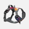 Smart LED Light Up Dog Collar - Rechargeable Safety Collar - Black