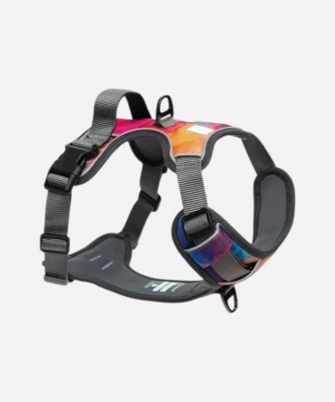 Gradient colorful no pull dog harness with reflective trim and adjustable gray straps.