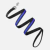 Blue padded reflective dog leash
