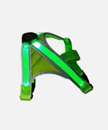 Bright green LED reflective dog harness is glowing.