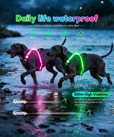 Two dogs wearing pink and green glowing LED reflective dog harnesses walking in rainy river, infographic showing waterproof performance and 500m high night visibility safety feature