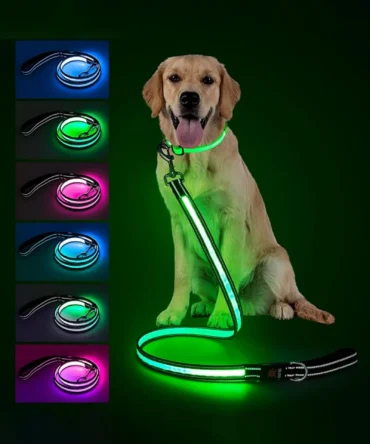 Multi-color LED reflective dog leash set