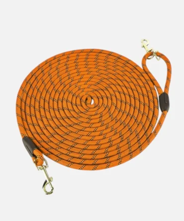Orange rope dog leash shows the braided texture, metal clips and high-visibility stitching.
