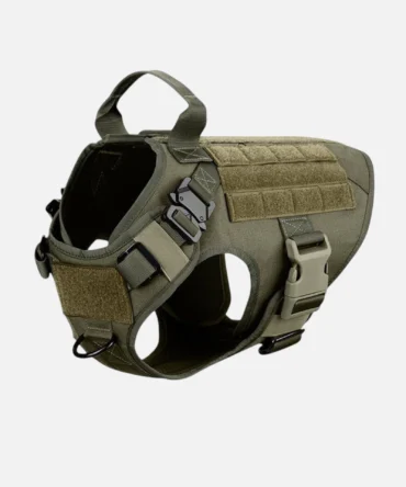Olive green tactical dog harness with molle panels and adjustable buckles