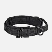 Dog Collars for Everyday Comfort and Outdoor Adventures