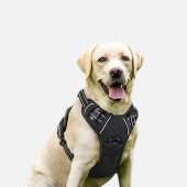 Dog harnesses for comfortable walking and outdoor adventures